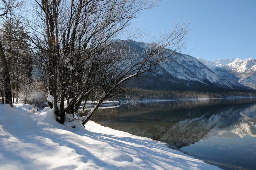 Apartment Dijak Bohinj Zewnętrze zdjęcie