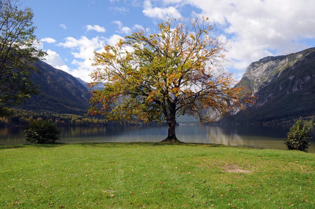 Apartment Dijak Bohinj Zewnętrze zdjęcie