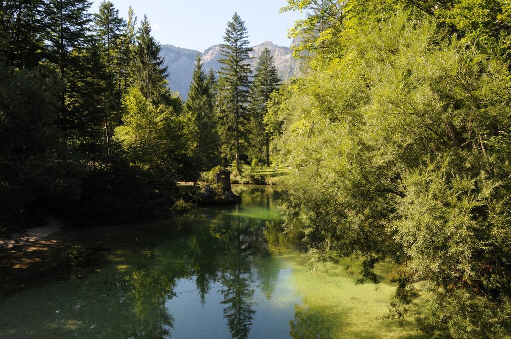 Apartment Dijak Bohinj Zewnętrze zdjęcie