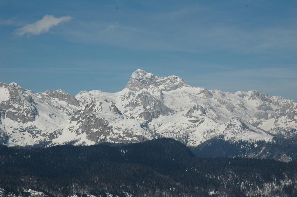 Apartment Dijak Bohinj Zewnętrze zdjęcie