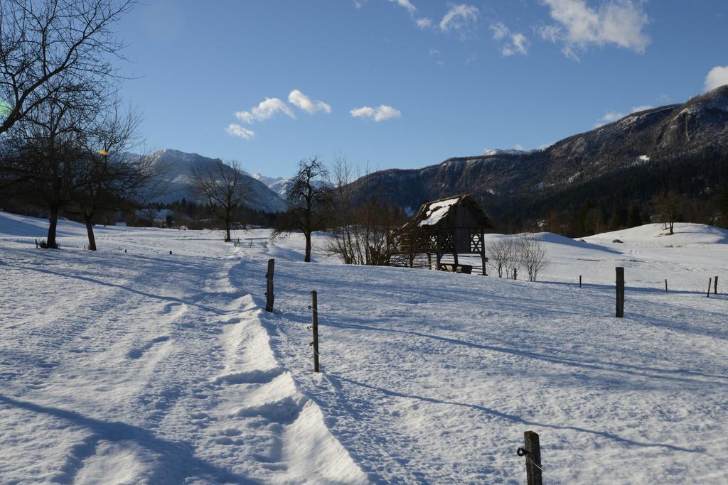 Apartment Dijak Bohinj Zewnętrze zdjęcie