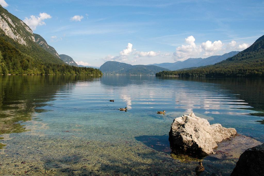 Apartment Dijak Bohinj Zewnętrze zdjęcie