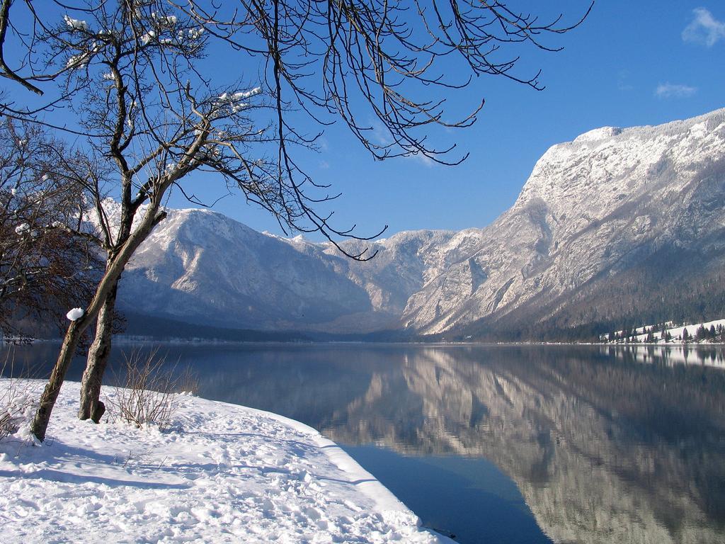 Apartment Dijak Bohinj Zewnętrze zdjęcie